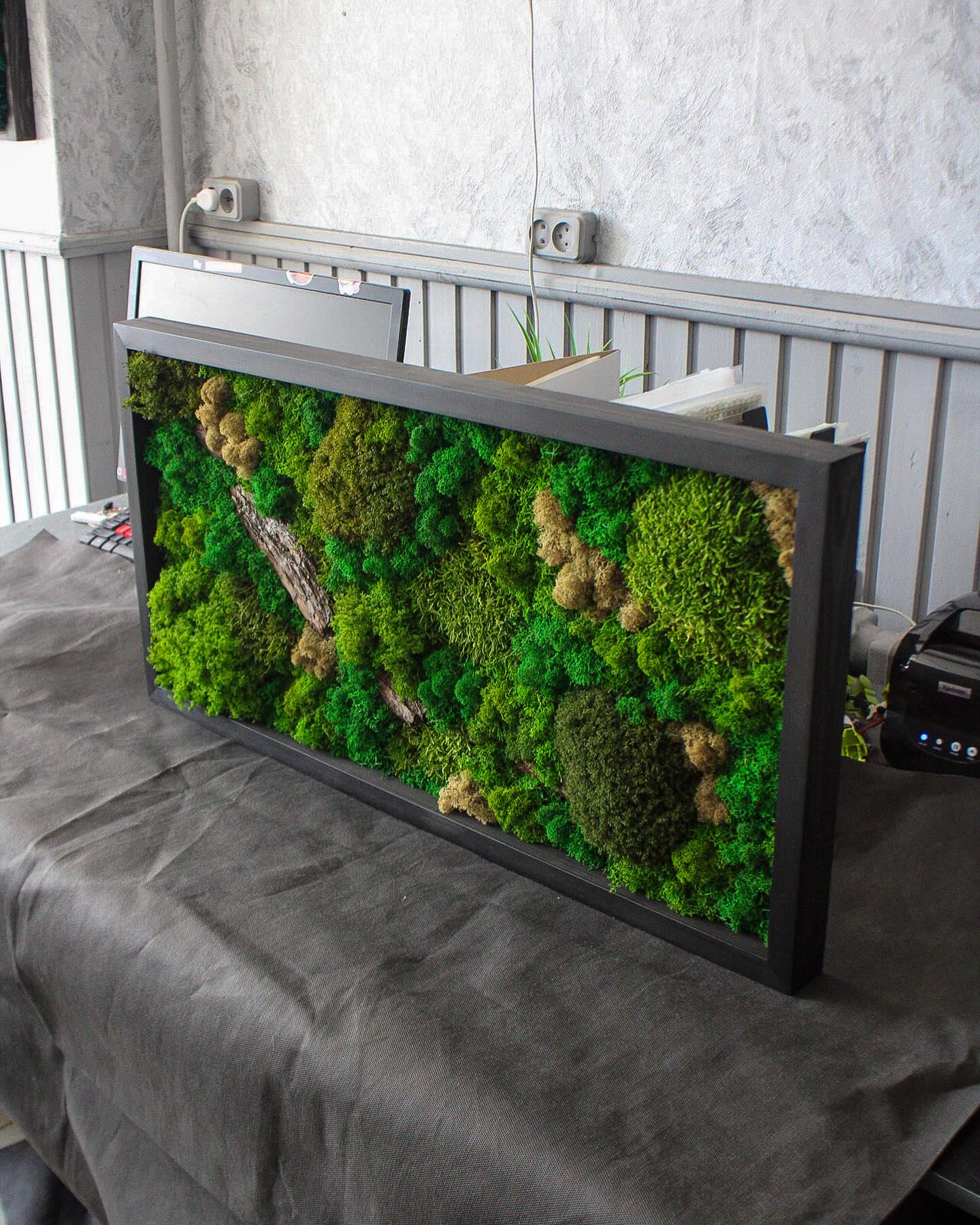 Artisan Moss & Bark Wall Art | Sustainable Home Decor