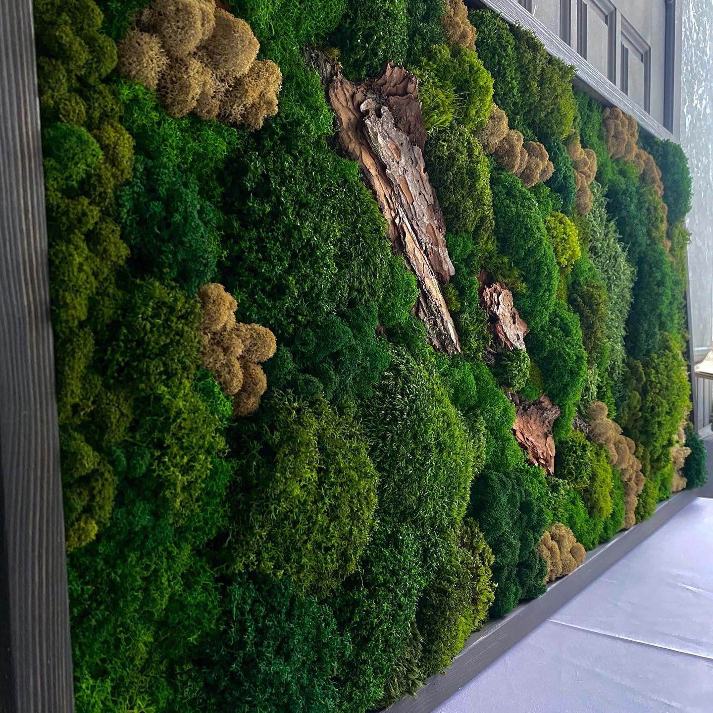 Earth’s Harmony: Preserved Moss & Bark Wall Art | Nature-Inspired Eco-Friendly Decor, Handmade Botanical Artwork