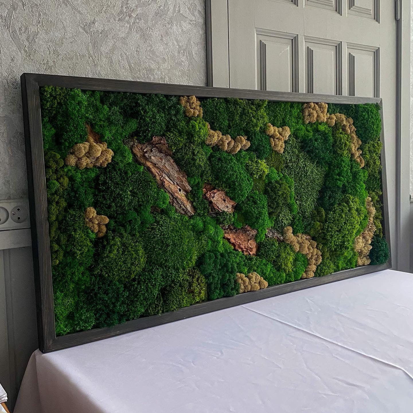 Earth’s Harmony: Preserved Moss & Bark Wall Art | Nature-Inspired Eco-Friendly Decor, Handmade Botanical Artwork