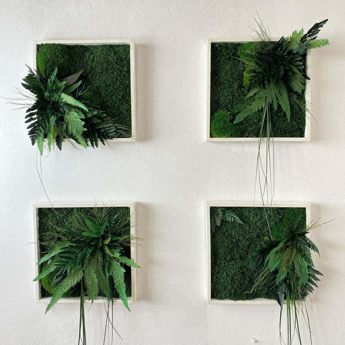 Square Framed Moss Wall Art, Wall Accent for Spa, Office, or Home | CAREFREE | VARIOUS-SIZE