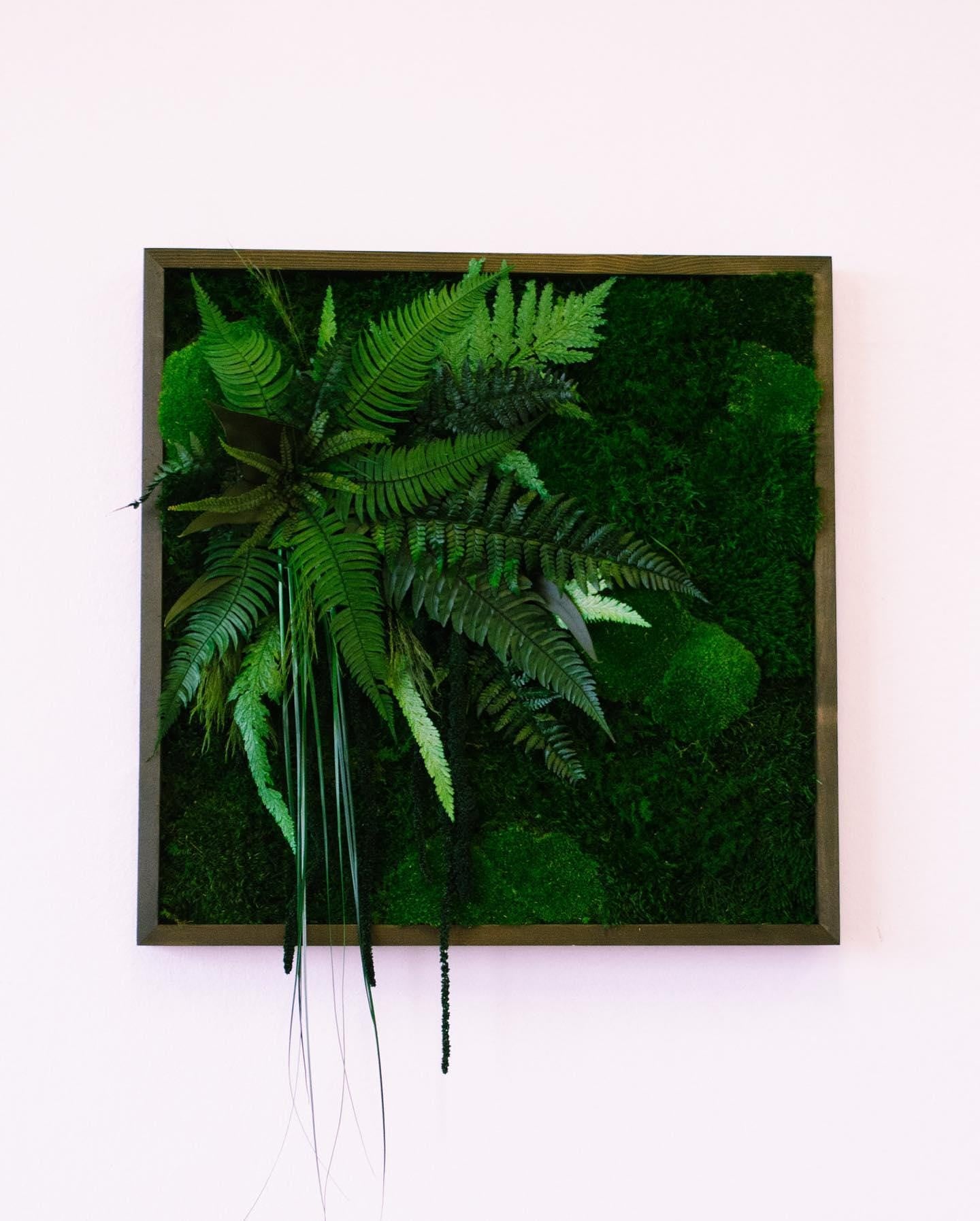 Square Framed Moss Wall Art, Wall Accent for Spa, Office, or Home | CAREFREE | VARIOUS-SIZE