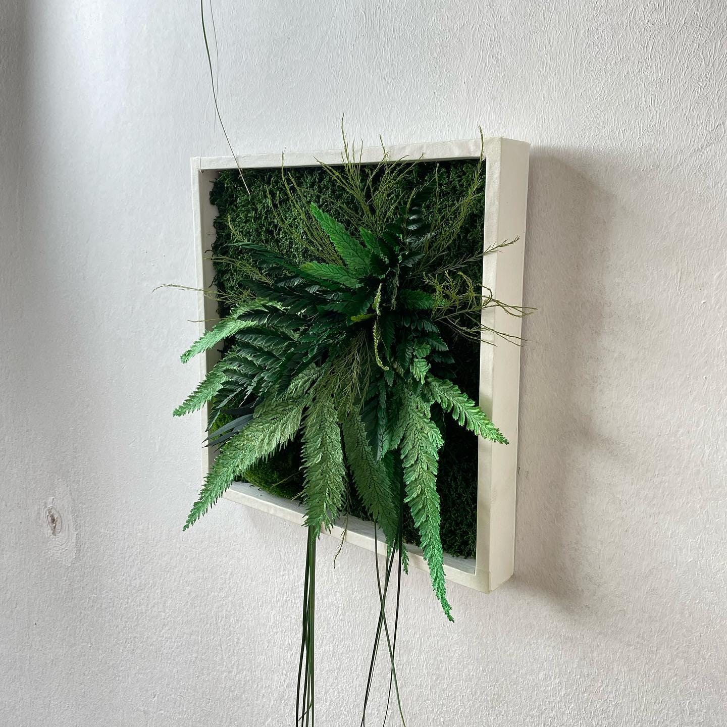 Square Framed Moss Wall Art, Wall Accent for Spa, Office, or Home | CAREFREE | VARIOUS-SIZE
