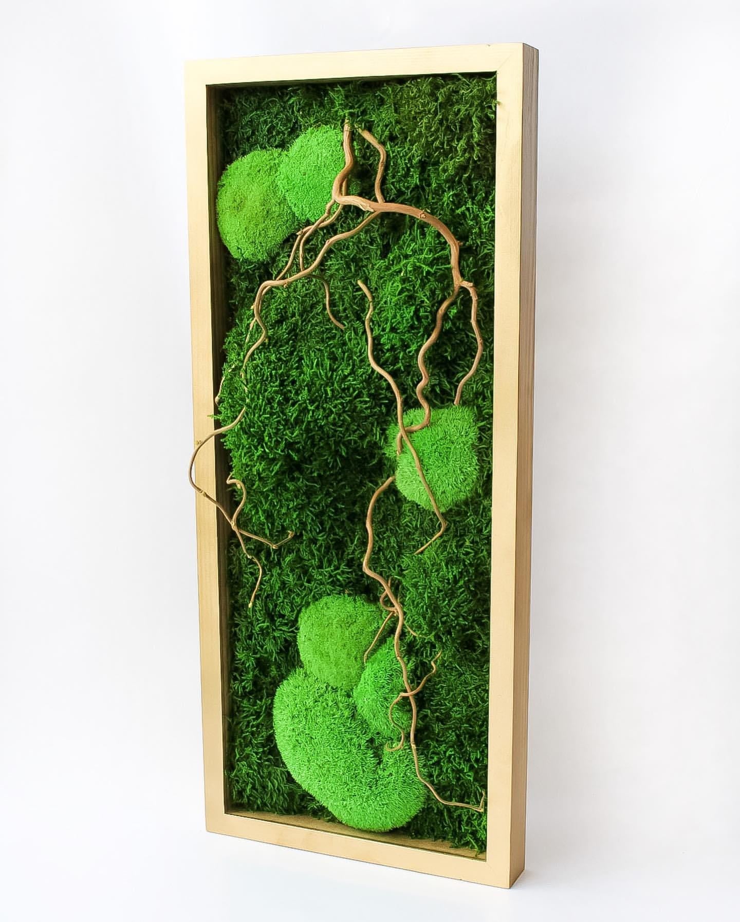 Moss & Twisted Matsudana Willow Wall Art | Japanese-Inspired Green Decor for Home, Office, or Spa | Custom Botanical Art