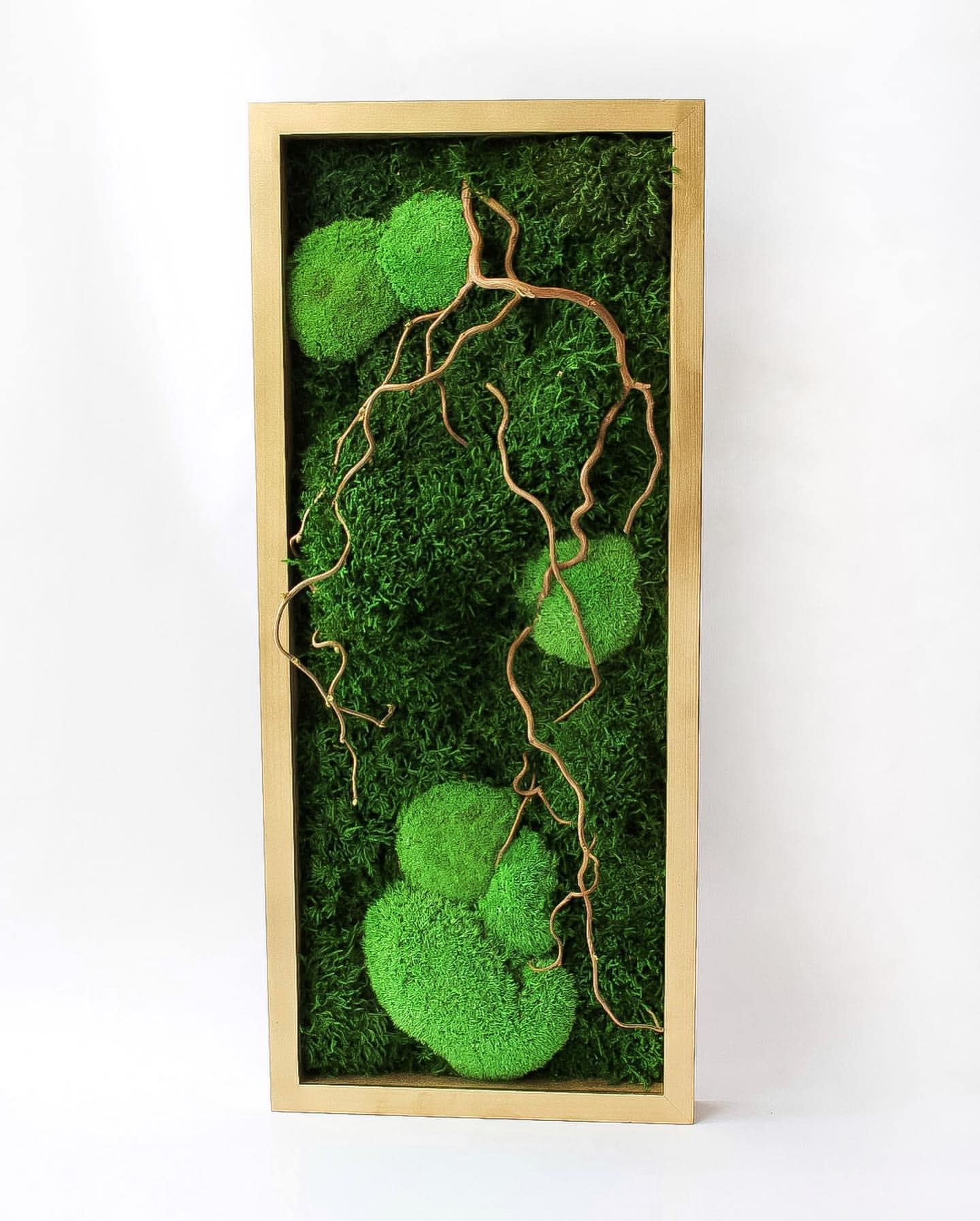 Zen Moss & Matsudana Willow Branch Wall Art | Preserved Moss Decor for Homes, Offices, and Spas | Unique Eco-Friendly Botanical Design