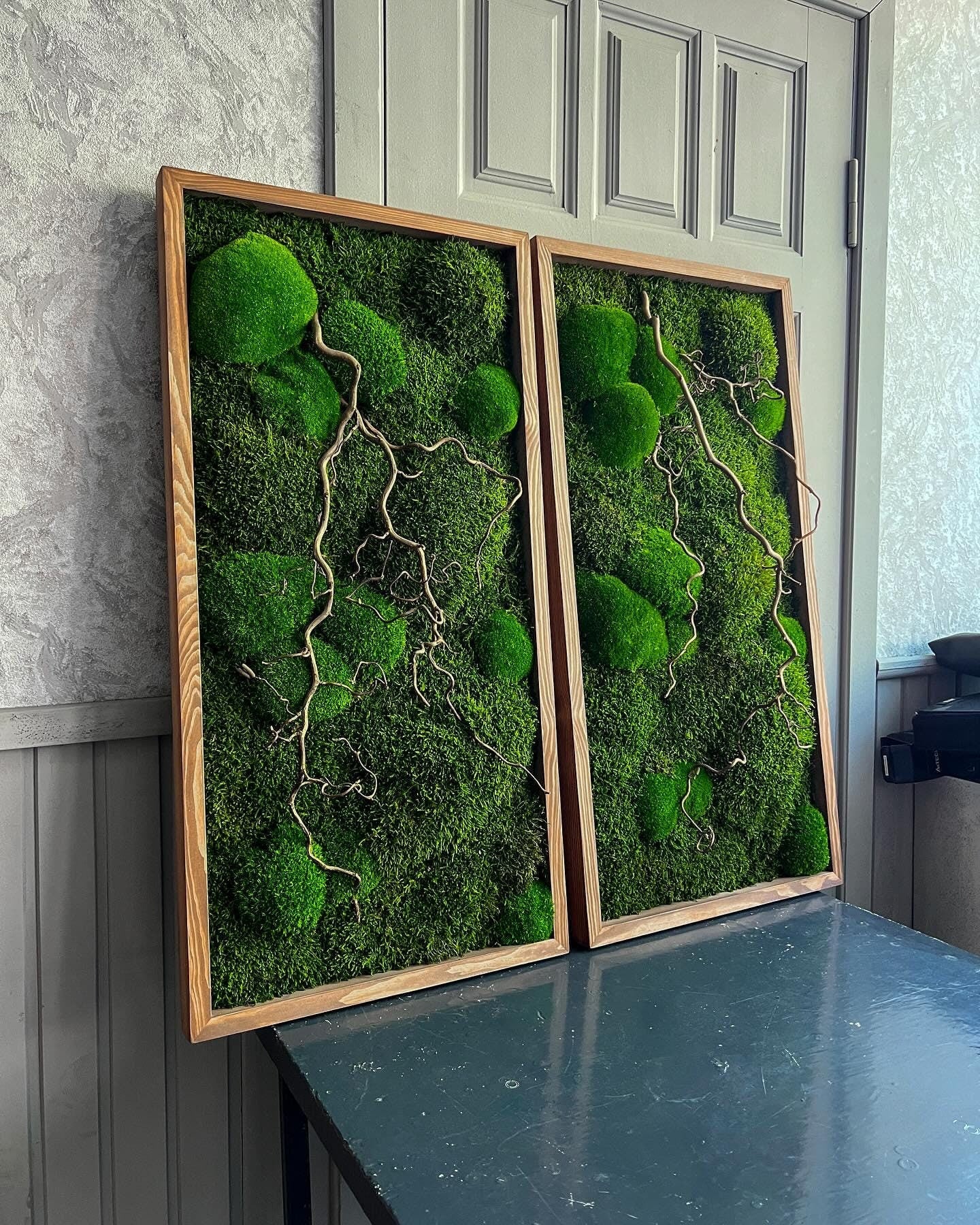 Zen Moss & Matsudana Willow Branch Wall Art | Preserved Moss Decor for Homes, Offices, and Spas | Unique Eco-Friendly Botanical Design