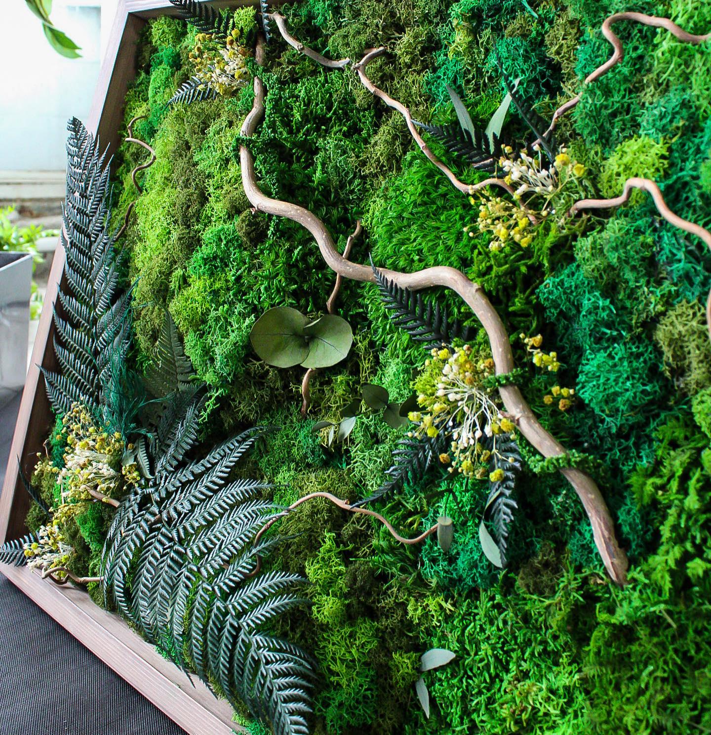 Tranquil Long Moss & Ferns Wall Art | Eucalyptus, Serene Ferns, Twisted Branches, Dried Flowers | Nature-Inspired Elegance Art