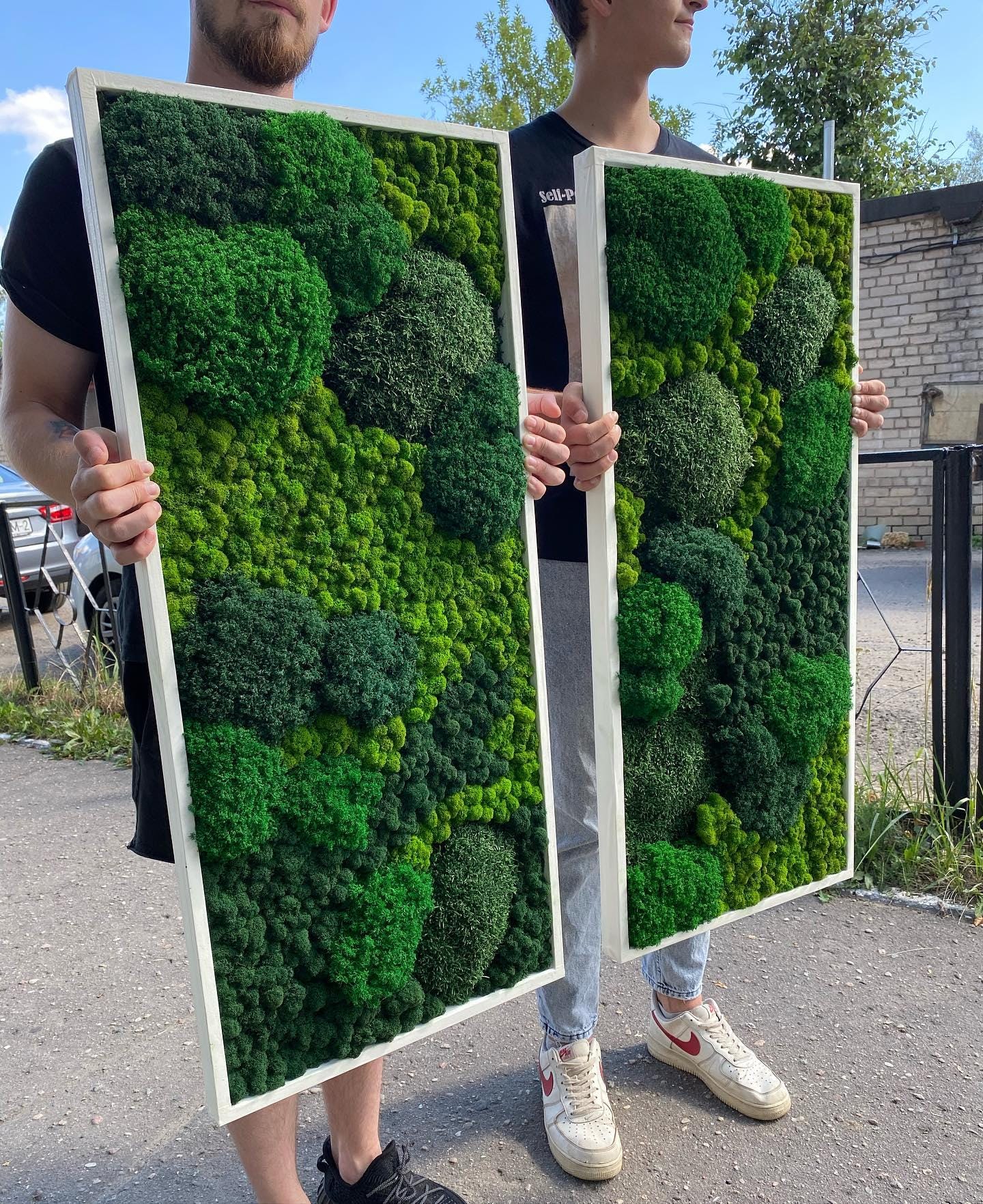 Tranquil Nature Escape: Unique Mix of Preserved Moss, Lichens, & Flat Greenery Wall Art, CAREFREE | VARIOUS-SIZE