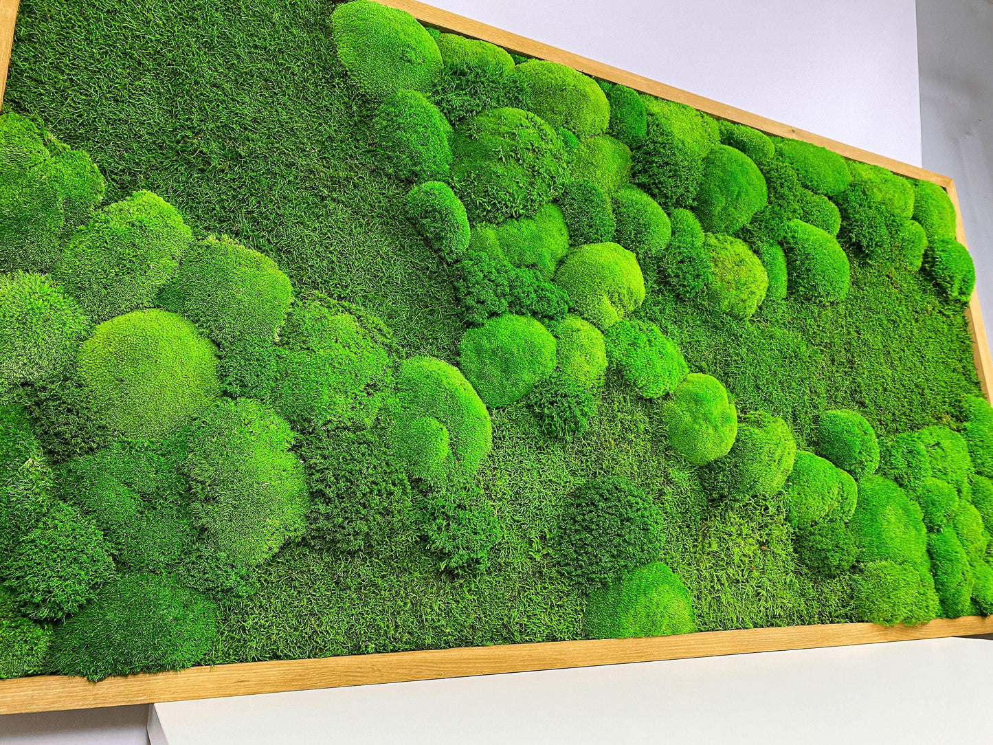 Framed Moss Wall Art Maintenance Free, Living Wall for Home, Restaurant, Shop or Office Decor, Vertical garden CAREFREE | VARIOUS-SIZE