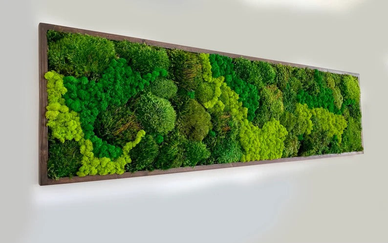 Leuchtende LED-Wanddekoration mit Moos, Farnen, Eukalyptus, Trockenblumen und Zweigen, umweltfreundliche Naturdekoration, einzigartiges botanisches Kunstwerk | VERSCHIEDENE GRÖSSEN