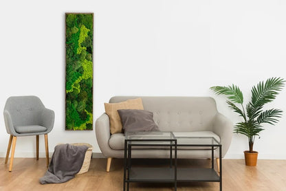 Leuchtende LED-Wanddekoration mit Moos, Farnen, Eukalyptus, Trockenblumen und Zweigen, umweltfreundliche Naturdekoration, einzigartiges botanisches Kunstwerk | VERSCHIEDENE GRÖSSEN