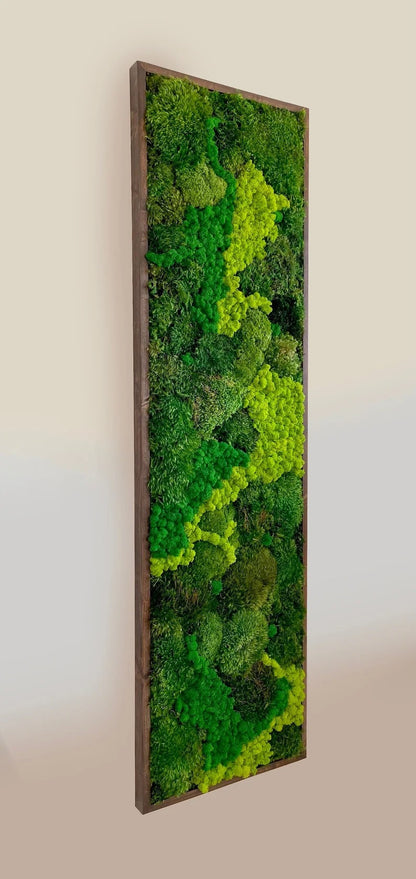 Leuchtende LED-Wanddekoration mit Moos, Farnen, Eukalyptus, Trockenblumen und Zweigen, umweltfreundliche Naturdekoration, einzigartiges botanisches Kunstwerk | VERSCHIEDENE GRÖSSEN