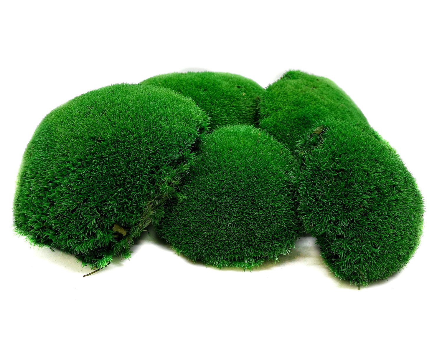 Preserved ball moss, pole moss, pillow moss, bulk moss, bun moss, natural moss, decorative moss, Bulk Wholesale