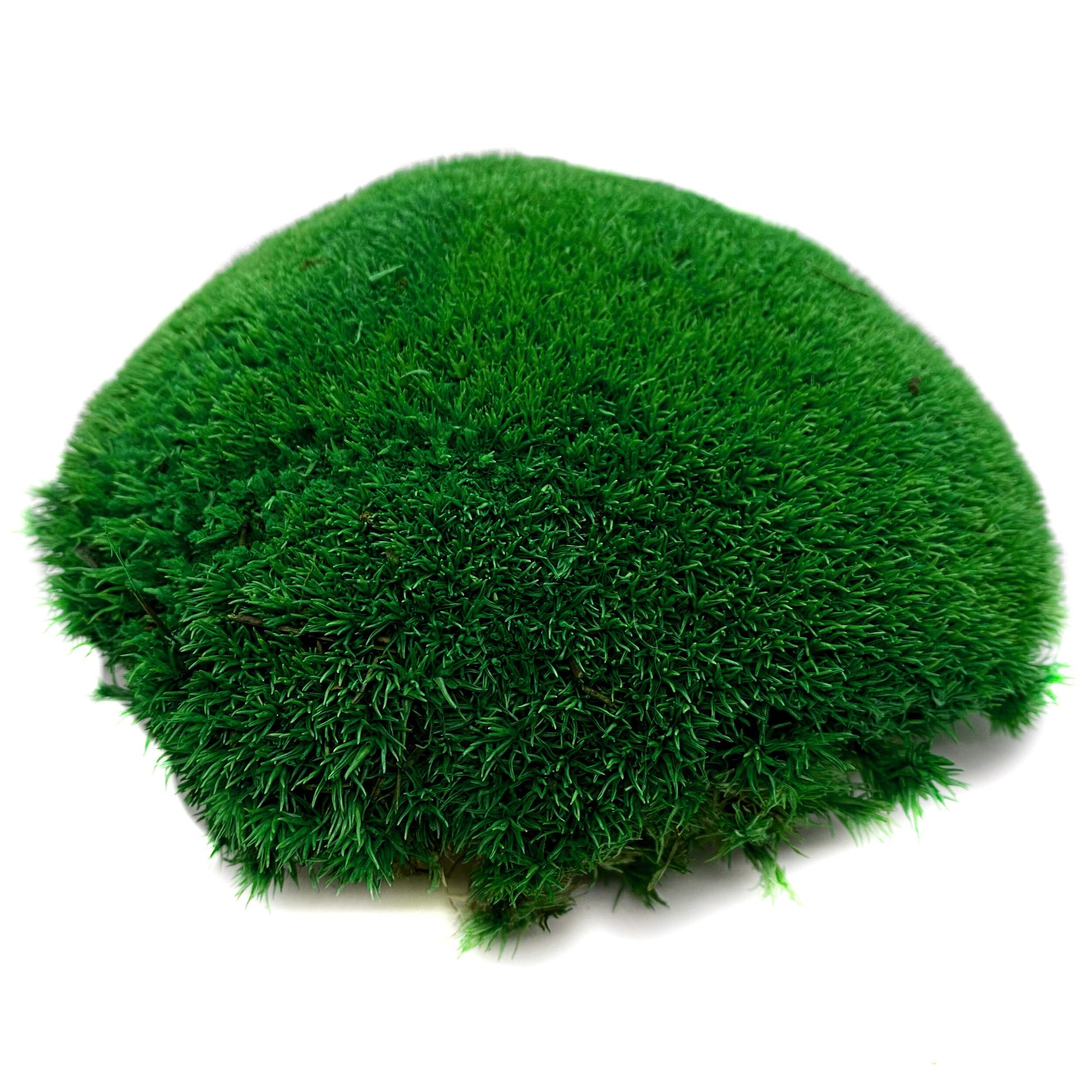 Preserved ball moss, pole moss, pillow moss, bulk moss, bun moss, natural moss, decorative moss, Bulk Wholesale