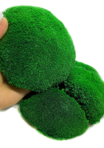 Preserved ball moss, pole moss, pillow moss, bulk moss, bun moss, natural moss, decorative moss, Bulk Wholesale