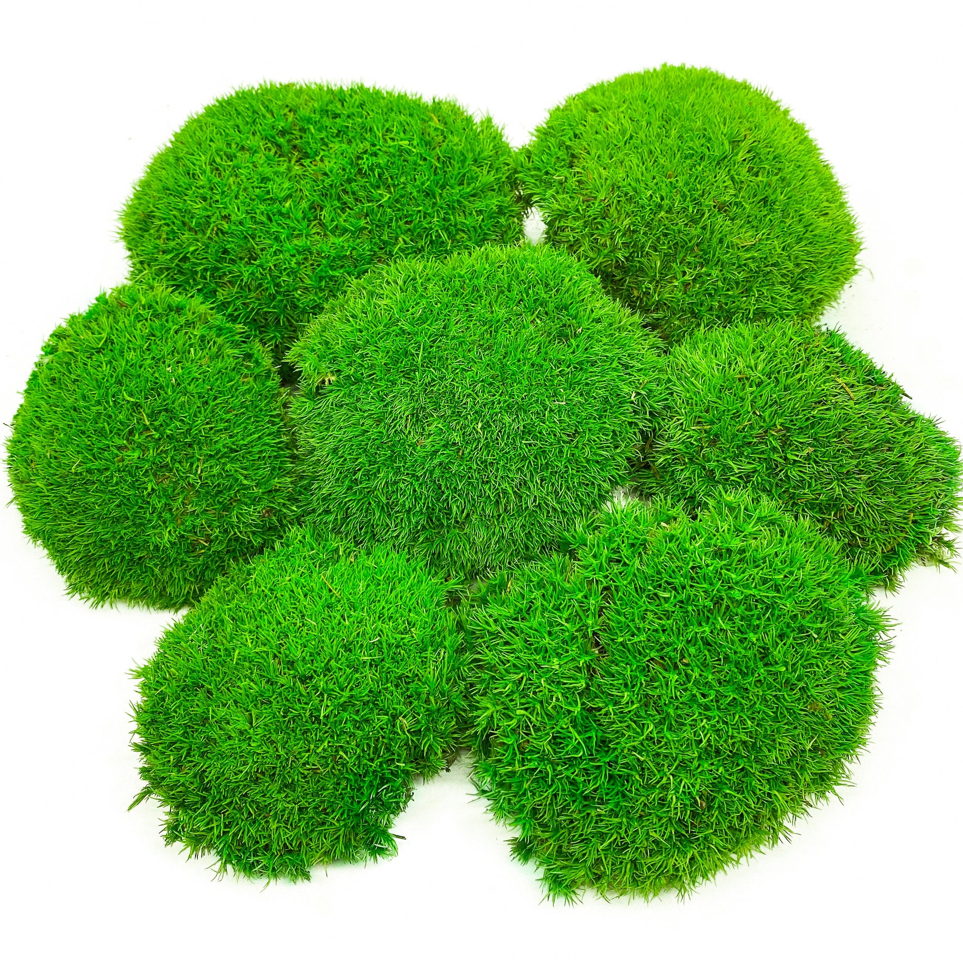 Preserved Ball Moss Green, Pillow Bun Moss, Stabilized Pole Moss, Decorative Natural Moss, Cushion Moss, Bulk Moss, Preserved Moss, Wall Art