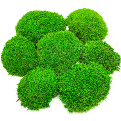 Preserved Ball Moss Green, Pillow Bun Moss, Stabilized Pole Moss, Decorative Natural Moss, Cushion Moss, Bulk Moss, Preserved Moss, Wall Art