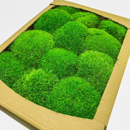 Preserved Ball Moss Green, Pillow Bun Moss, Stabilized Pole Moss, Decorative Natural Moss, Cushion Moss, Bulk Moss, Preserved Moss, Wall Art