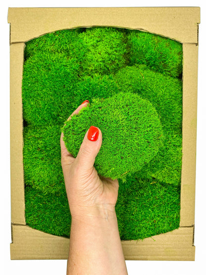 Preserved Ball Moss Green, Pillow Bun Moss, Stabilized Pole Moss, Decorative Natural Moss, Cushion Moss, Bulk Moss, Preserved Moss, Wall Art