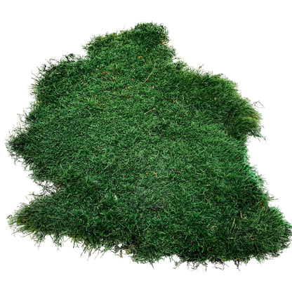 Preserved Flat Moss Dark Green Box 2.7 sq feet, Stabilized Moss, Dried Moss, Living Moss, Carpet Moss, Sheet Moss, Real Moss, Nordic Moss