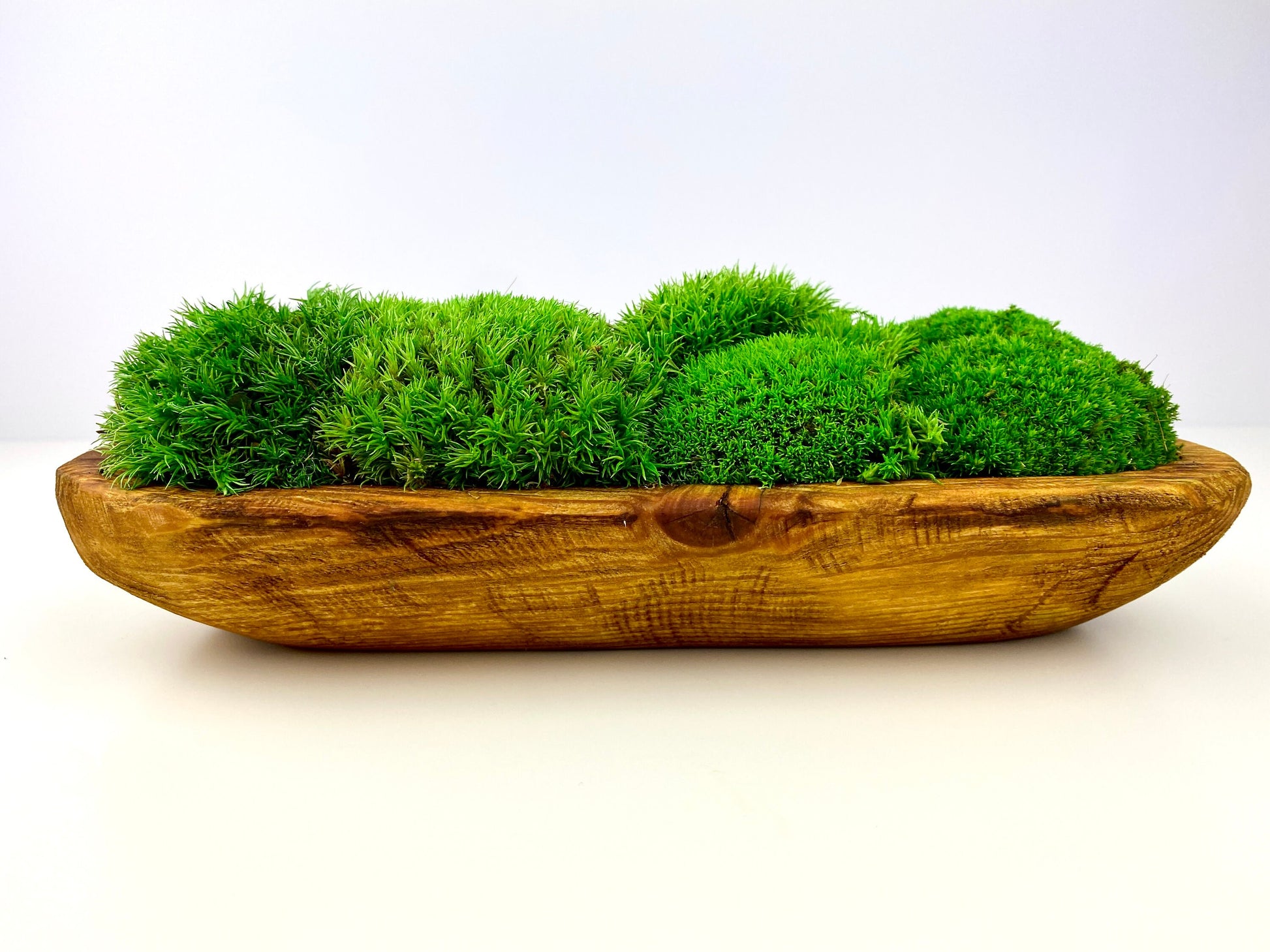 Elegant Preserved Moss Wooden Bowl Centerpiece, Hand-Carved Rustic Dough Bowl, Nature-Inspired Table Decor, CAREFREE | VARIOUS-SIZE