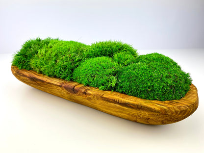 Elegant Preserved Moss Wooden Bowl Centerpiece, Hand-Carved Rustic Dough Bowl, Nature-Inspired Table Decor, CAREFREE | VARIOUS-SIZE