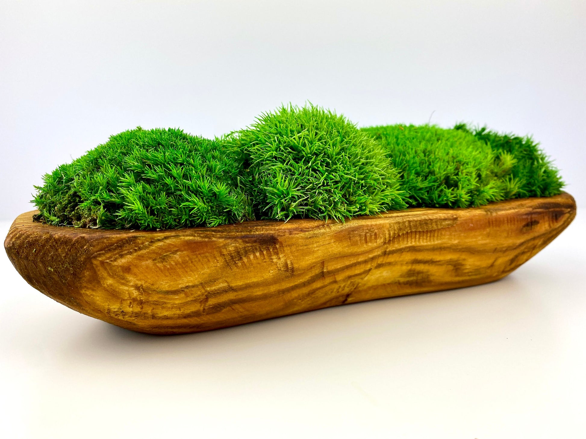 Elegant Preserved Moss Wooden Bowl Centerpiece, Hand-Carved Rustic Dough Bowl, Nature-Inspired Table Decor, CAREFREE | VARIOUS-SIZE