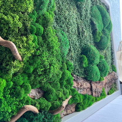 Woodland Wonder Eco-Friendly Plant Art, Preserved Moss Wall Art + Wooden Bark & Branches, Unique Gift, CAREFREE | VARIOUS-SIZE