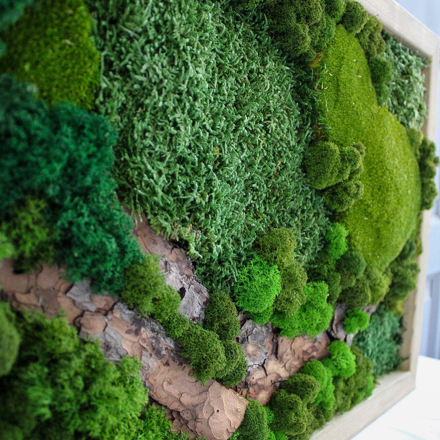 Woodland Wonder Eco-Friendly Plant Art, Preserved Moss Wall Art + Wooden Bark & Branches, Unique Gift, CAREFREE | VARIOUS-SIZE