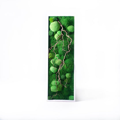 Twisted Branches Preserved Moss Wall Art, Unique Gift, CAREFREE | VARIOUS-SIZE