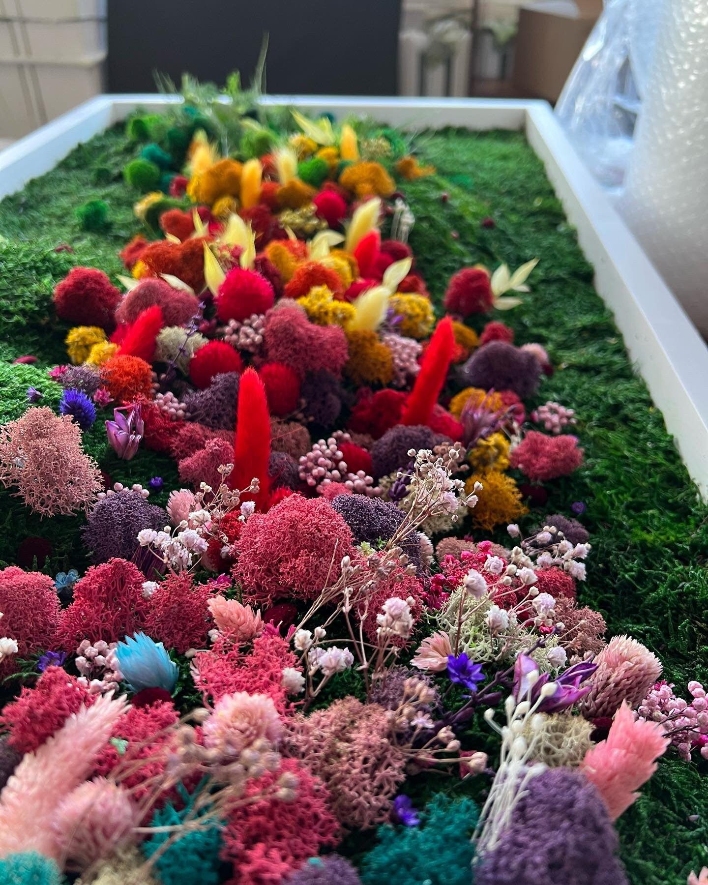 Rainbow Flowered Preserved Moss Wall Art | CAREFREE & VARIOUS-SIZE