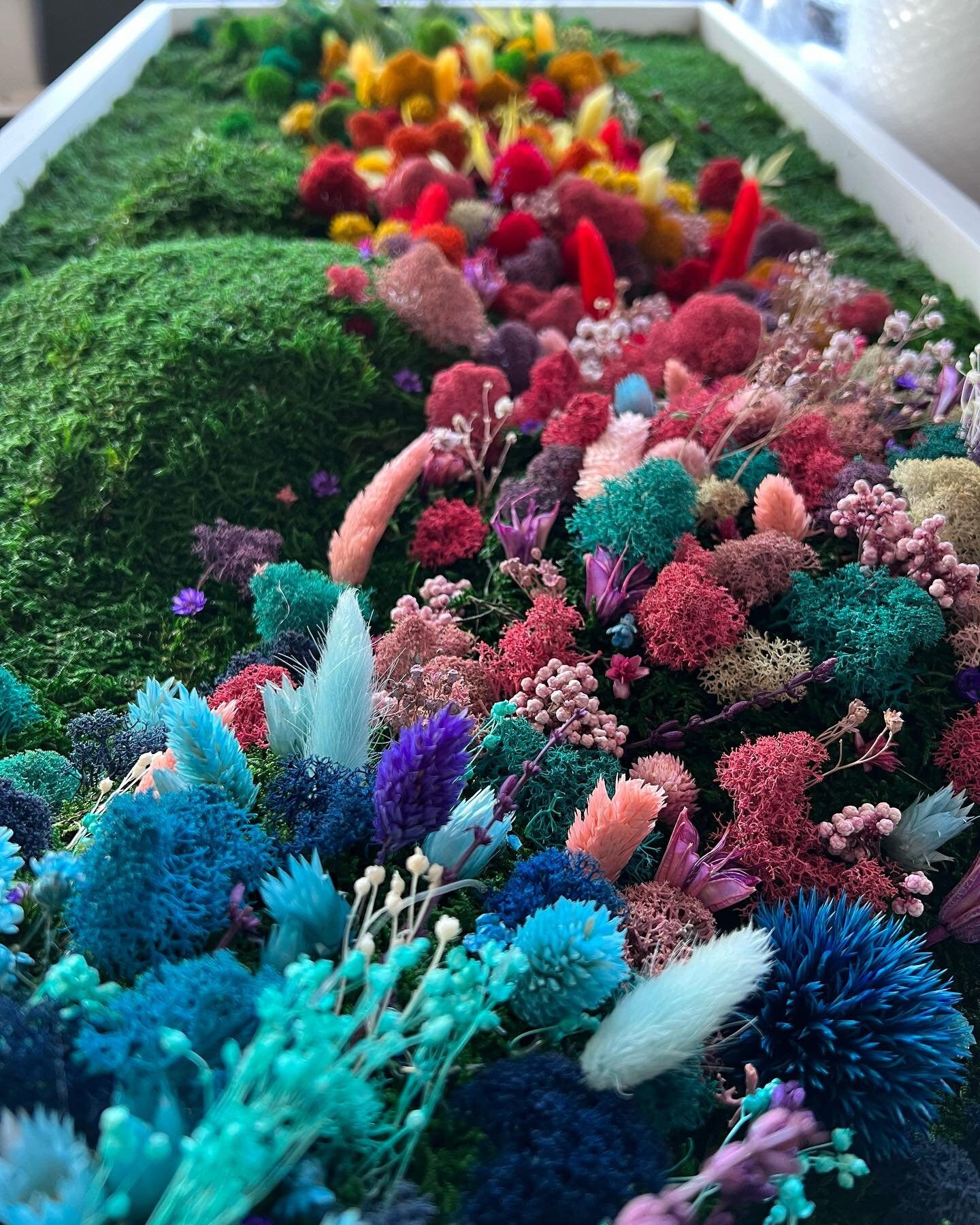 Rainbow Flowered Preserved Moss Wall Art | CAREFREE & VARIOUS-SIZE
