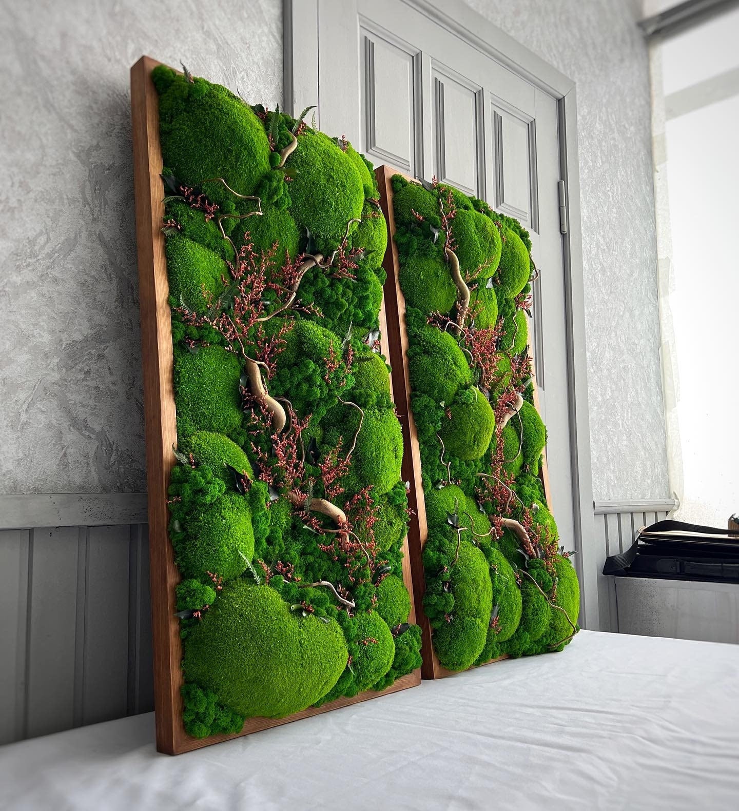 Royal Ball Moss Wall Art Japanese Willow Twisted Branches, Preserved Plant, Unique & Carefree | Various Sizes