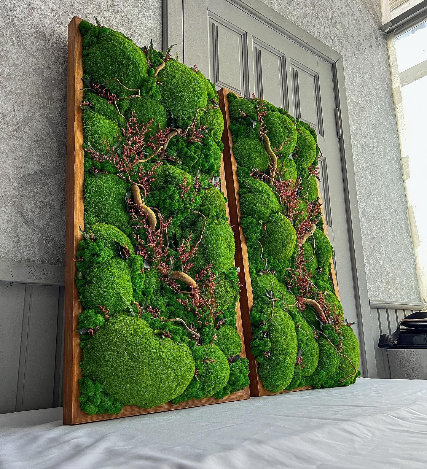 Royal Ball Moss Wall Art Japanese Willow Twisted Branches, Preserved Plant, Unique & Carefree | Various Sizes
