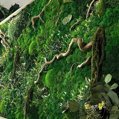 Woodland Whispers Moss Wall Art Preserved Provance, Royal Lichen Ball Mosses & Twisted Branches, Dried Flowers