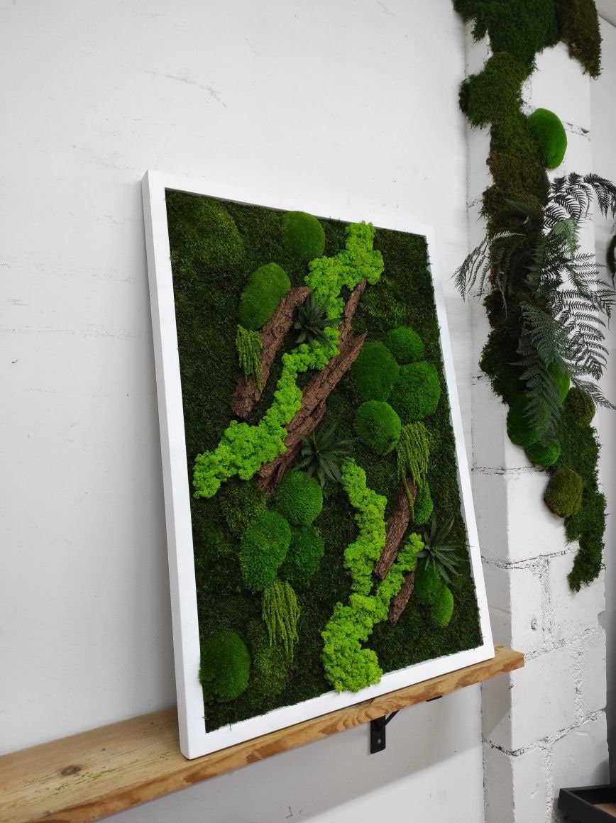 Amaranthus Moss Wall Art, Wooden Bark, Ferns | 100% NATURAL, CAREFREE & Various SIZES