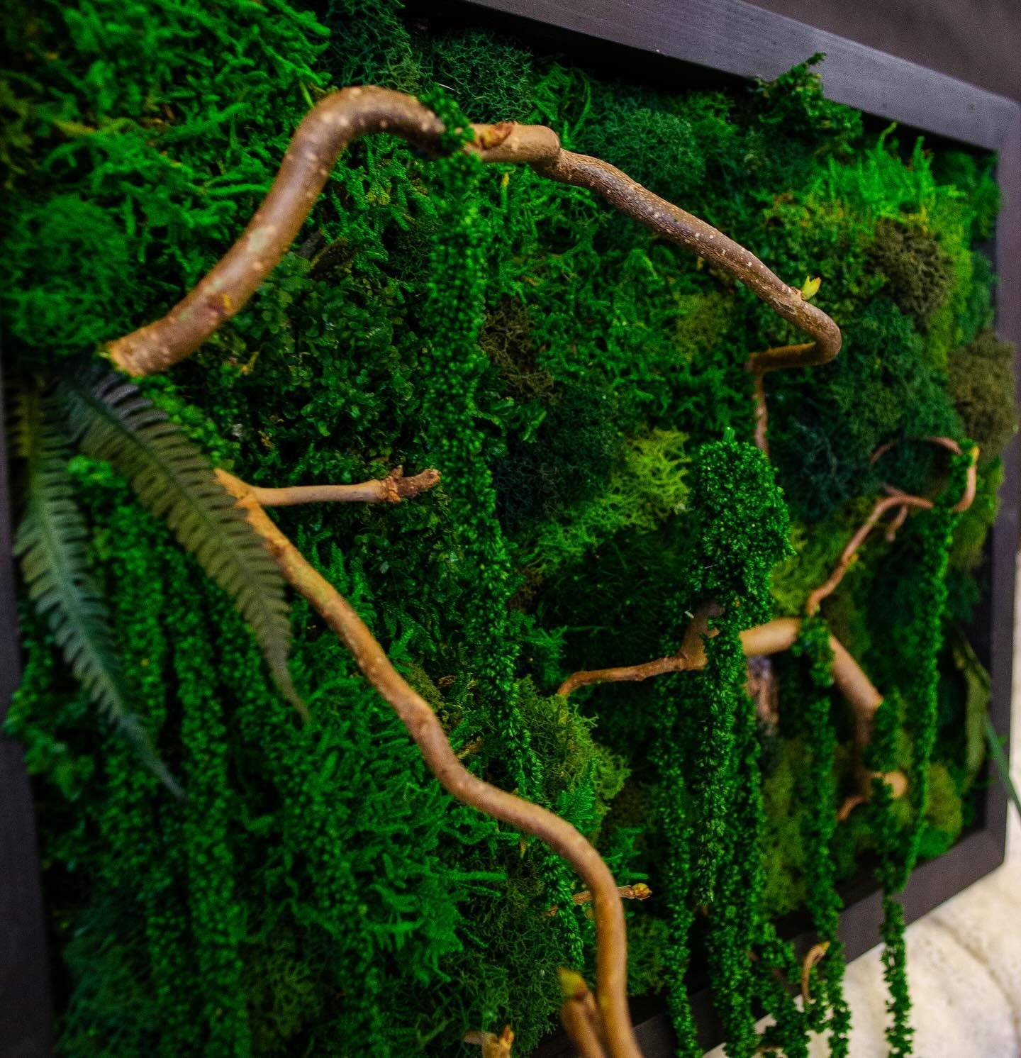 Verdant Visions Eco-Friendly Preserved Moss Wall Art, ferns, amaranthus, twisted branches | CAREFREE & VARIOUS-SIZE