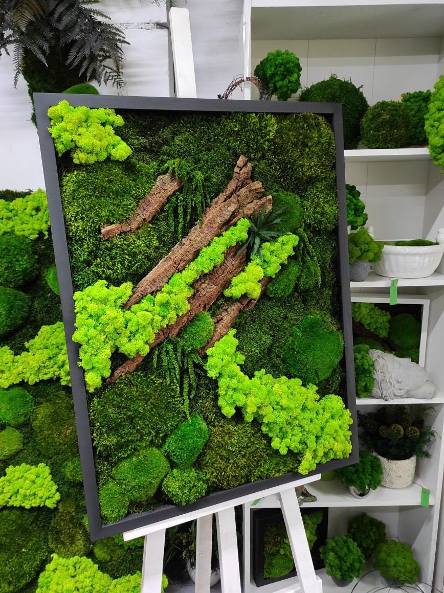 Amaranthus Moss Wall Art, Wooden Bark, Ferns | 100% NATURAL, CAREFREE & Various SIZES