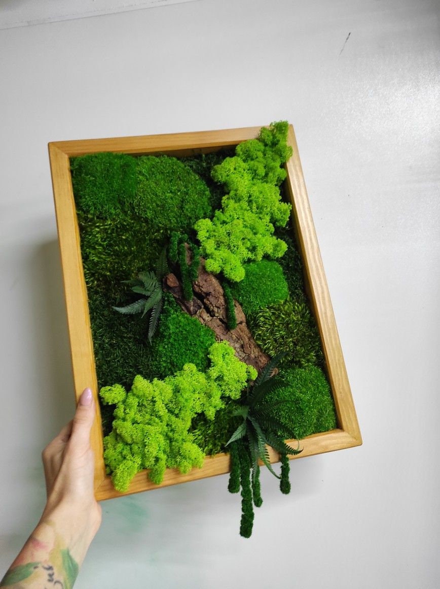 Amaranthus Moss Wall Art, Wooden Bark, Ferns | 100% NATURAL, CAREFREE & Various SIZES