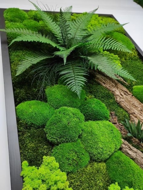 Amaranthus Moss Wall Art, Wooden Bark, Ferns | 100% NATURAL, CAREFREE & Various SIZES