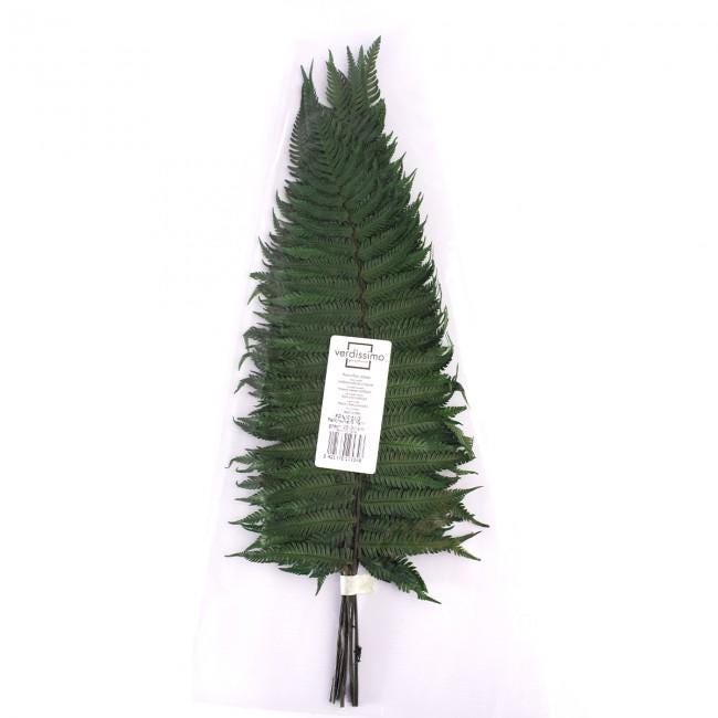 Preserved Fern Parchemin Green 10 stems 20-30 cm Natural Decorative Fern (FPA/0102)