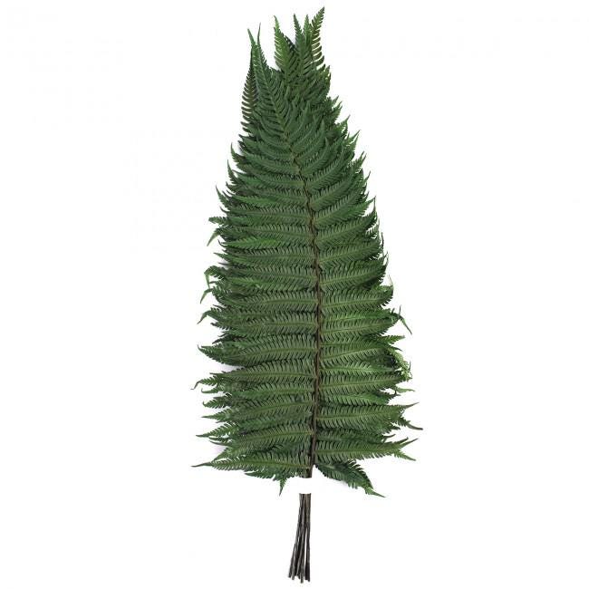 Preserved Fern Parchemin Green 10 stems 20-30 cm Natural Decorative Fern (FPA/0102)