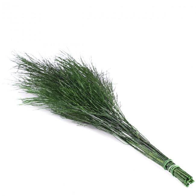 Preserved Tiki Grass Green 40-50 cm (TIK/0104) - Exotic Stabilized Greenery