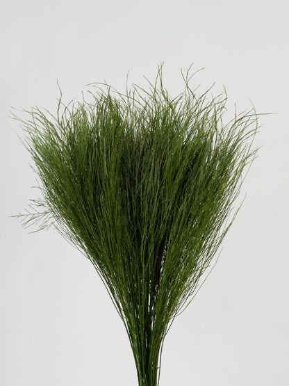 Preserved Tiki Grass Green 40-50 cm (TIK/0104) - Exotic Stabilized Greenery