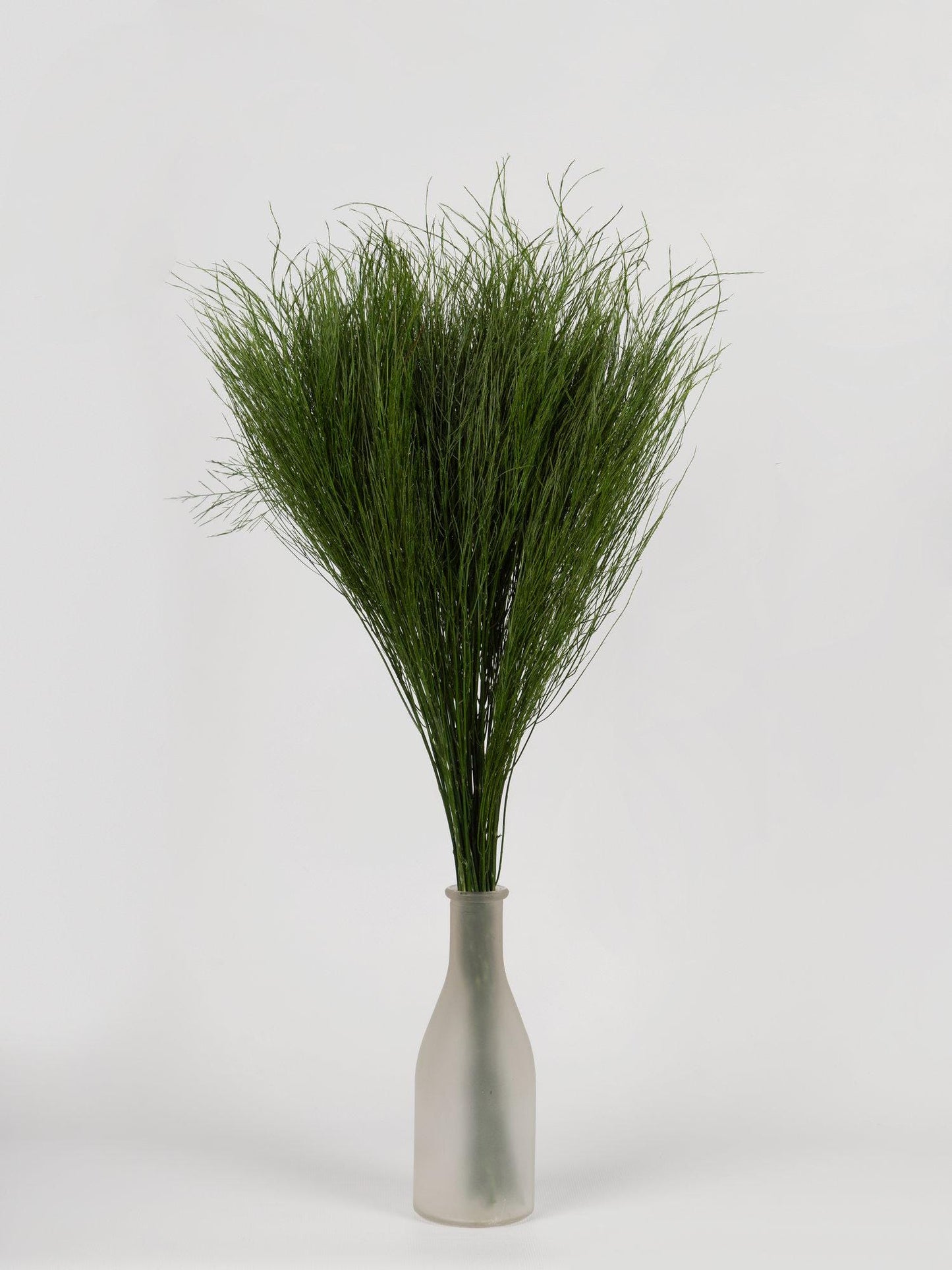 Preserved Tiki Grass Green 40-50 cm (TIK/0104) - Exotic Stabilized Greenery