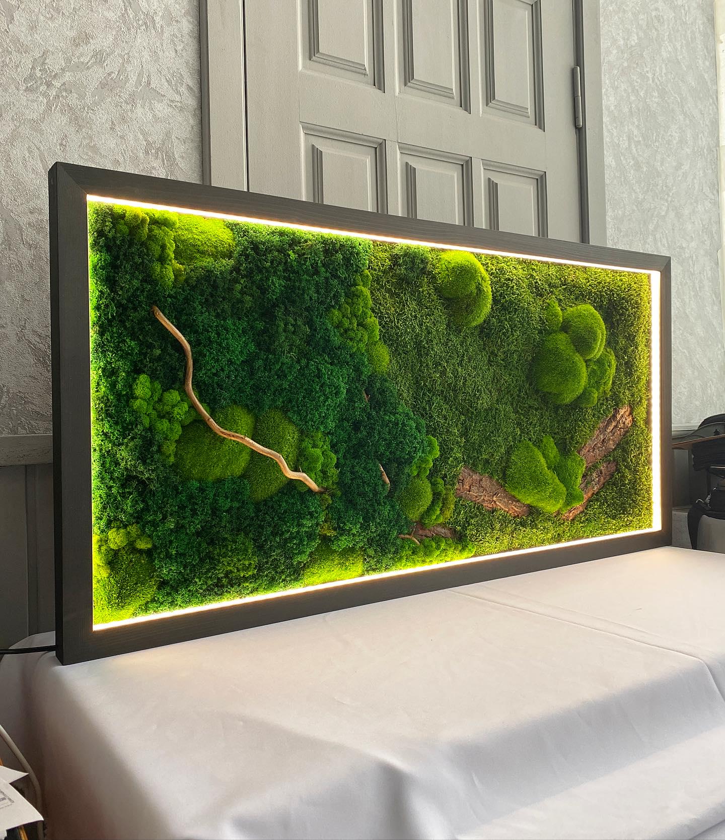 Illuminated Preserved Moss Wall Art with LED Lighting, Eco-Friendly Nature-Inspired Decor, Custom Wood & Moss Art, Unique Botanical Gift