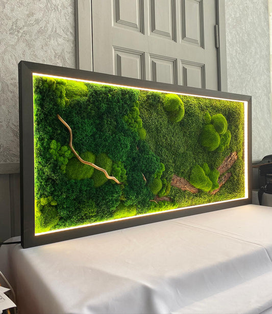 Illuminated Preserved Moss Wall Art with LED Lighting, Eco-Friendly Nature-Inspired Decor, Custom Wood & Moss Art, Unique Botanical Gift