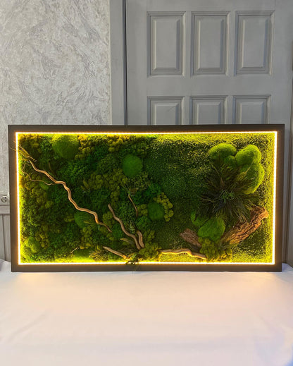 Warm LED-Lit Preserved Moss Wall Art Fern Leaves, Bark & Tiki Grass, Eco-Friendly Natural Decor, Custom Botanical Art, Unique Gift