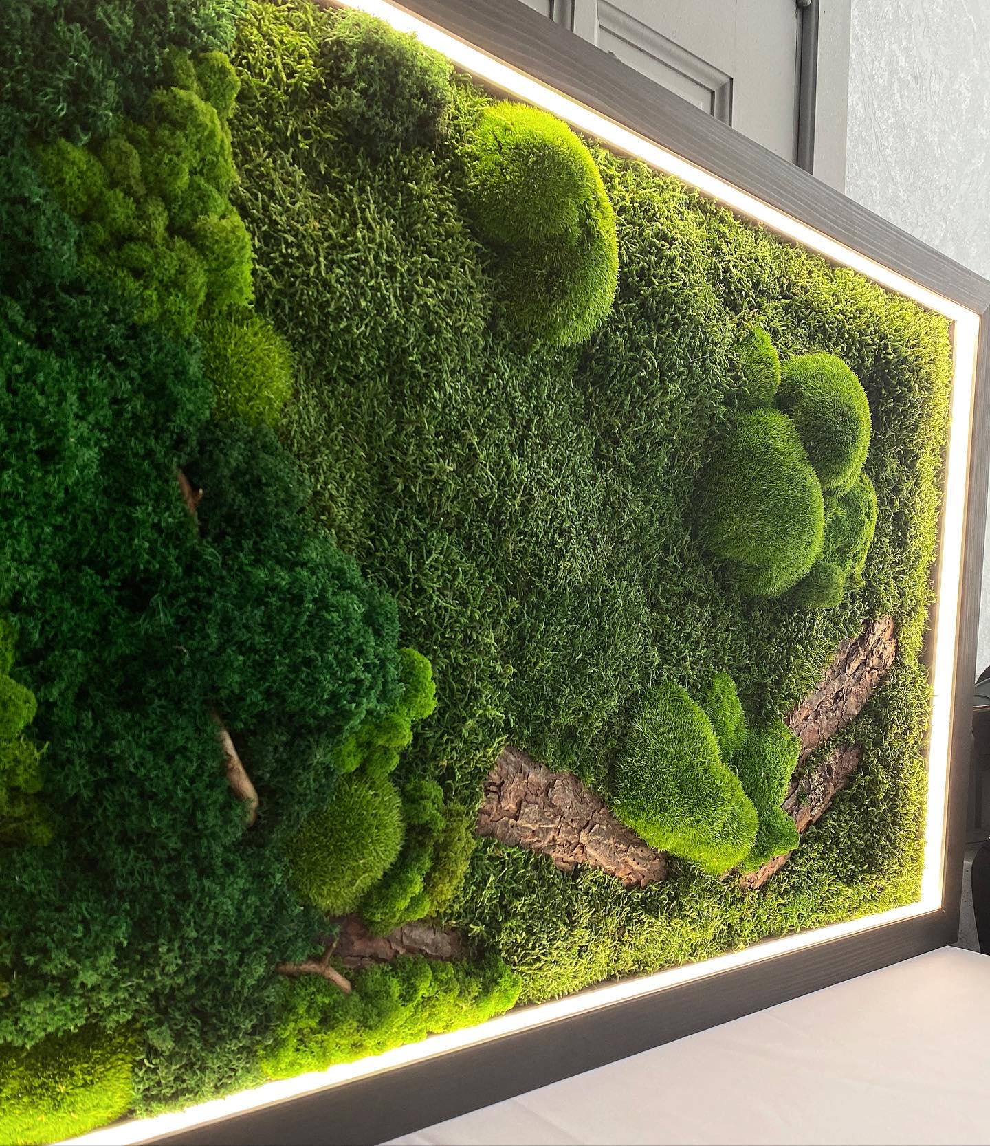 Warm LED-Lit Preserved Moss Art with Natural Bark & Branches, Eco-Friendly Rustic Decor, Handcrafted Botanical Wall Art | VARIOUS SIZES