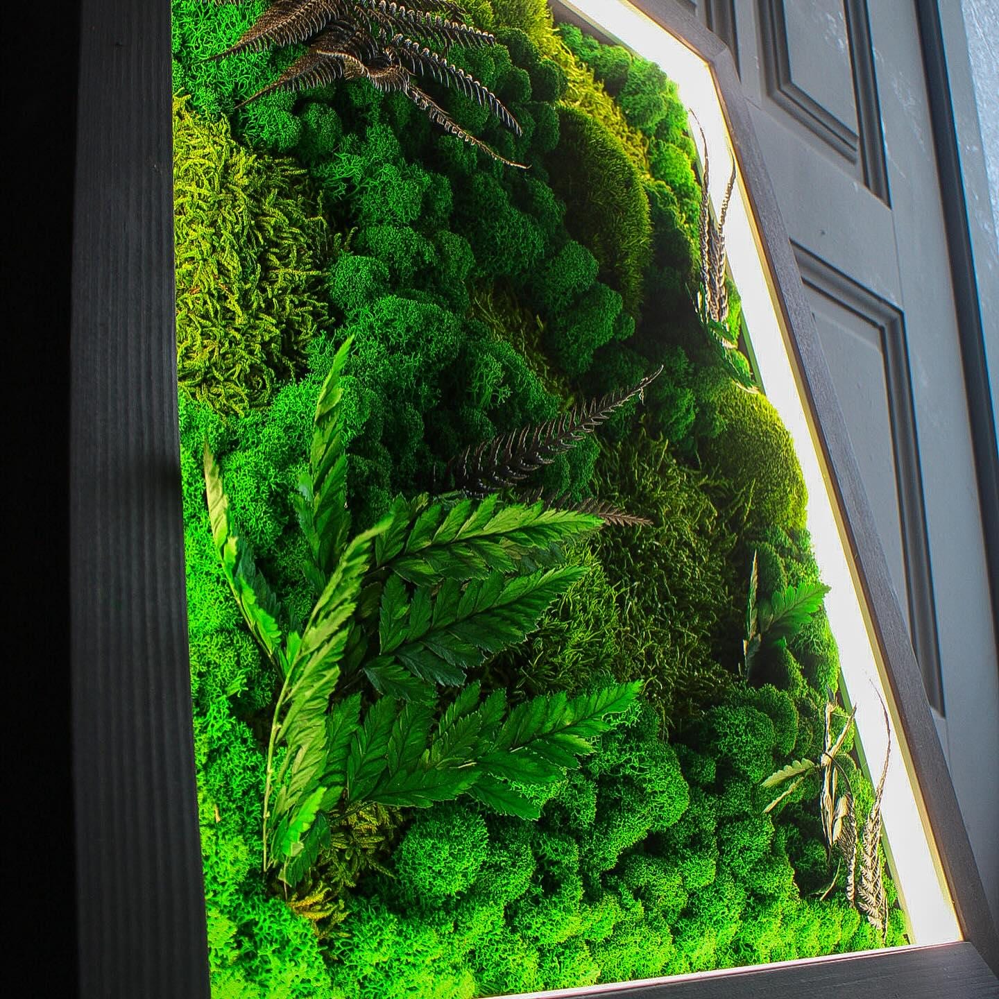 Woodland Oasis Eco-Friendly Moss & Fern Wall Art with Bright LED Light, Nature-Inspired Botanical Decor, Preserved Moss Ferns, White LED