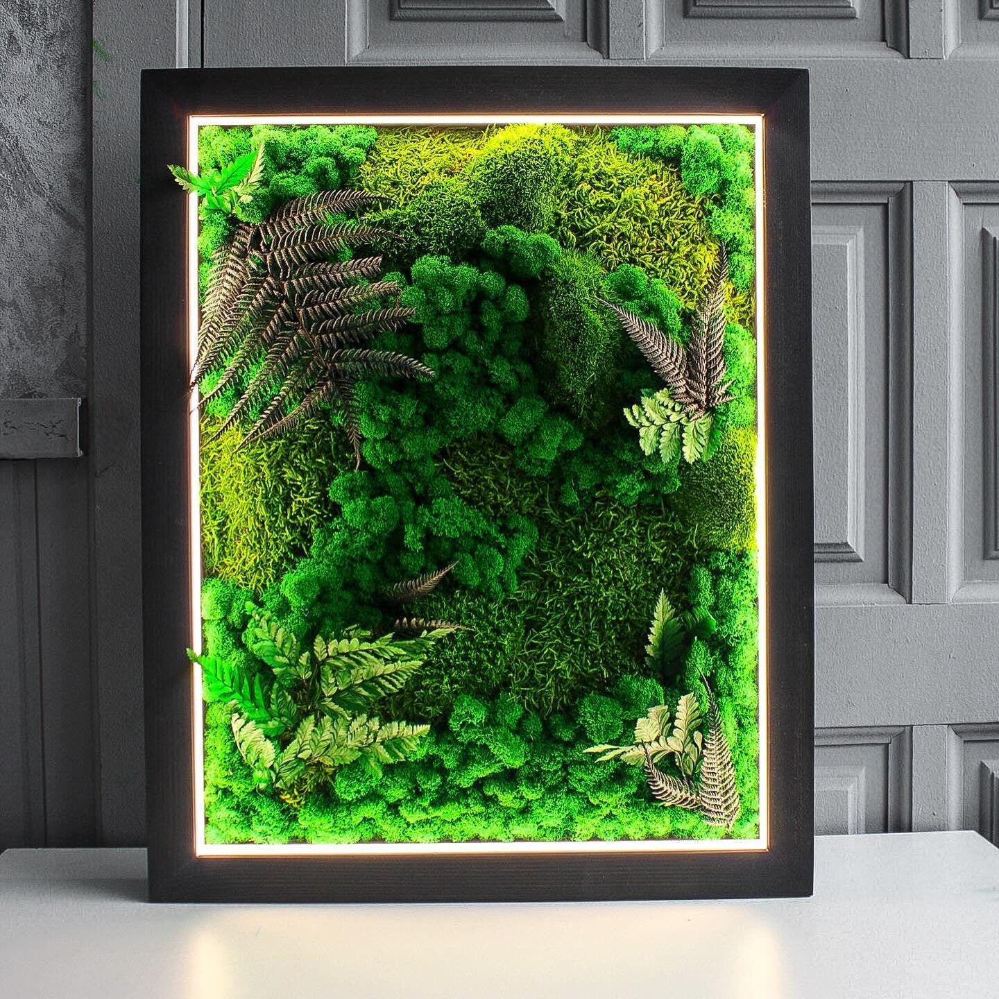 Woodland Oasis Eco-Friendly Moss & Fern Wall Art with Bright LED Light, Nature-Inspired Botanical Decor, Preserved Moss Ferns, White LED